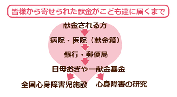 おぎゃー献金
